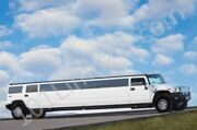 hummer4